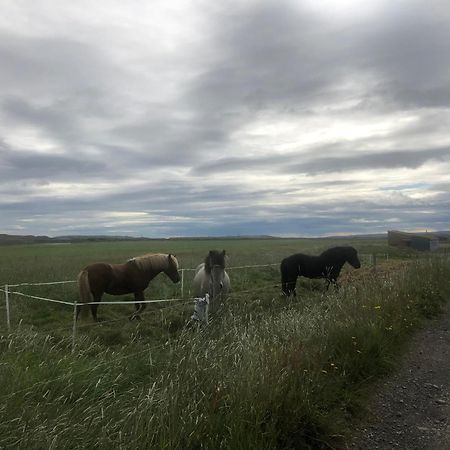 Þrandarholt Villa Hreppholar Eksteriør billede